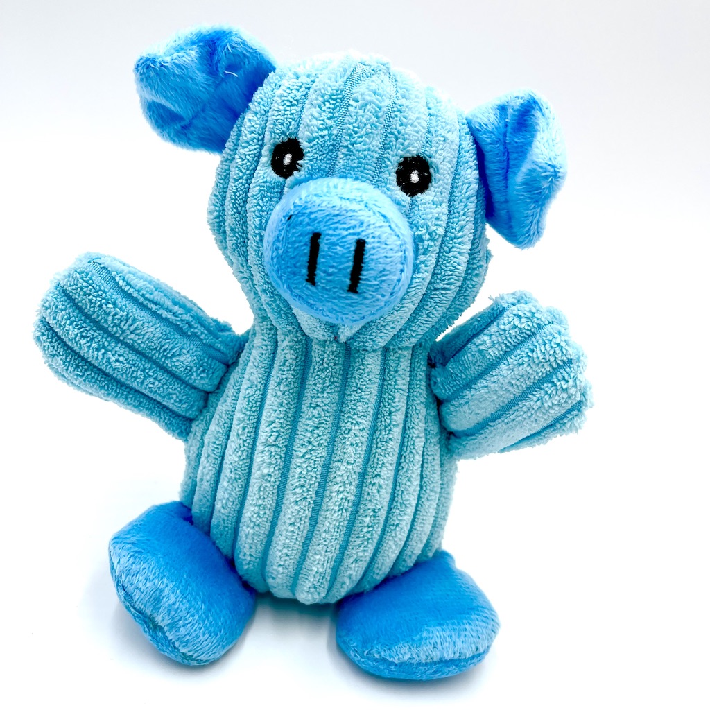 Blue Bear Squeaky Fluffy Toy