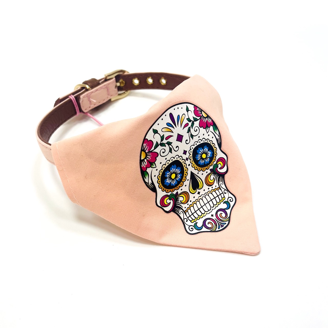 Floral Skull with Leather Collar 