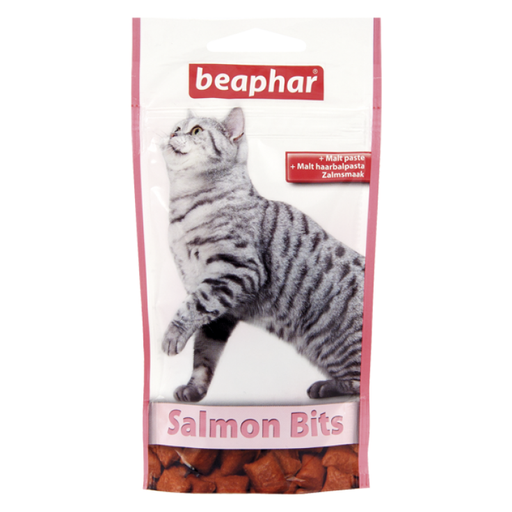 Malt-Bits Salmon Cat 35g