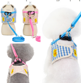 Harness and leash Set with Ducky