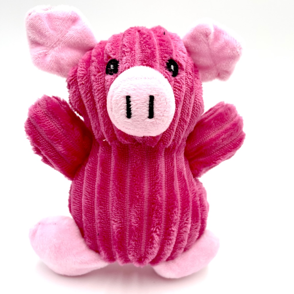 Pink Bear Squeaky Fluffy Toy